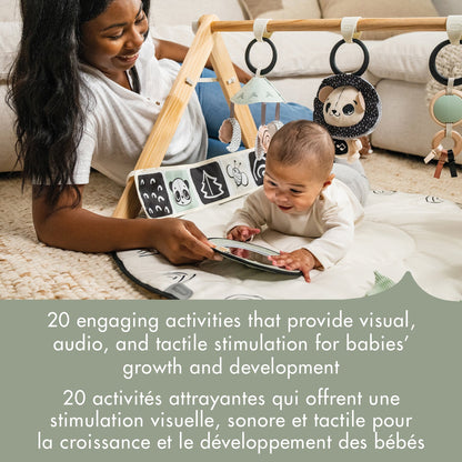 Luxe Developmental Gymini