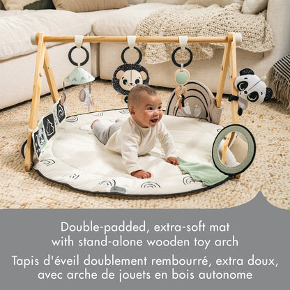 Luxe Developmental Gymini