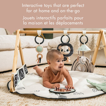 Luxe Developmental Gymini
