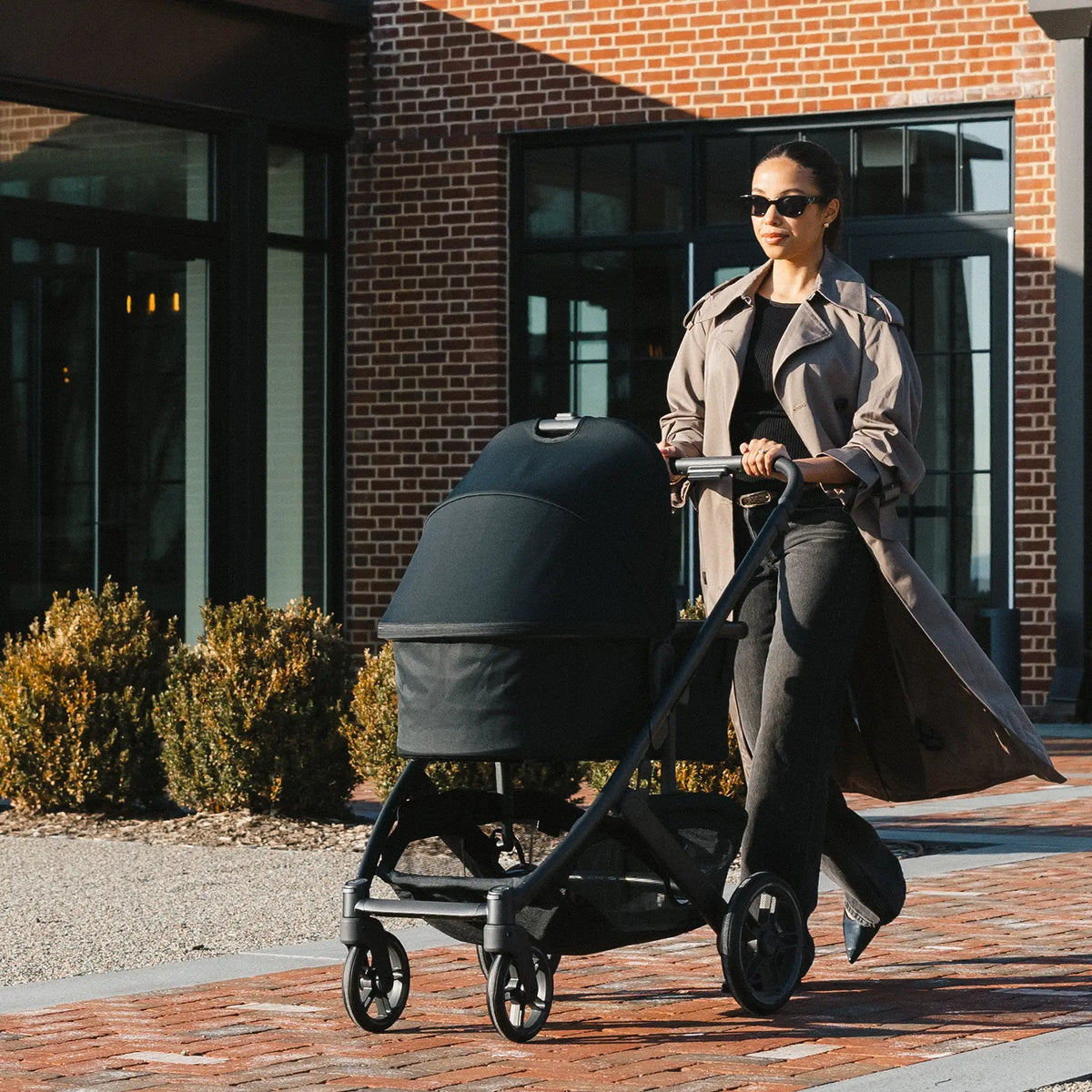 Bassinet V3