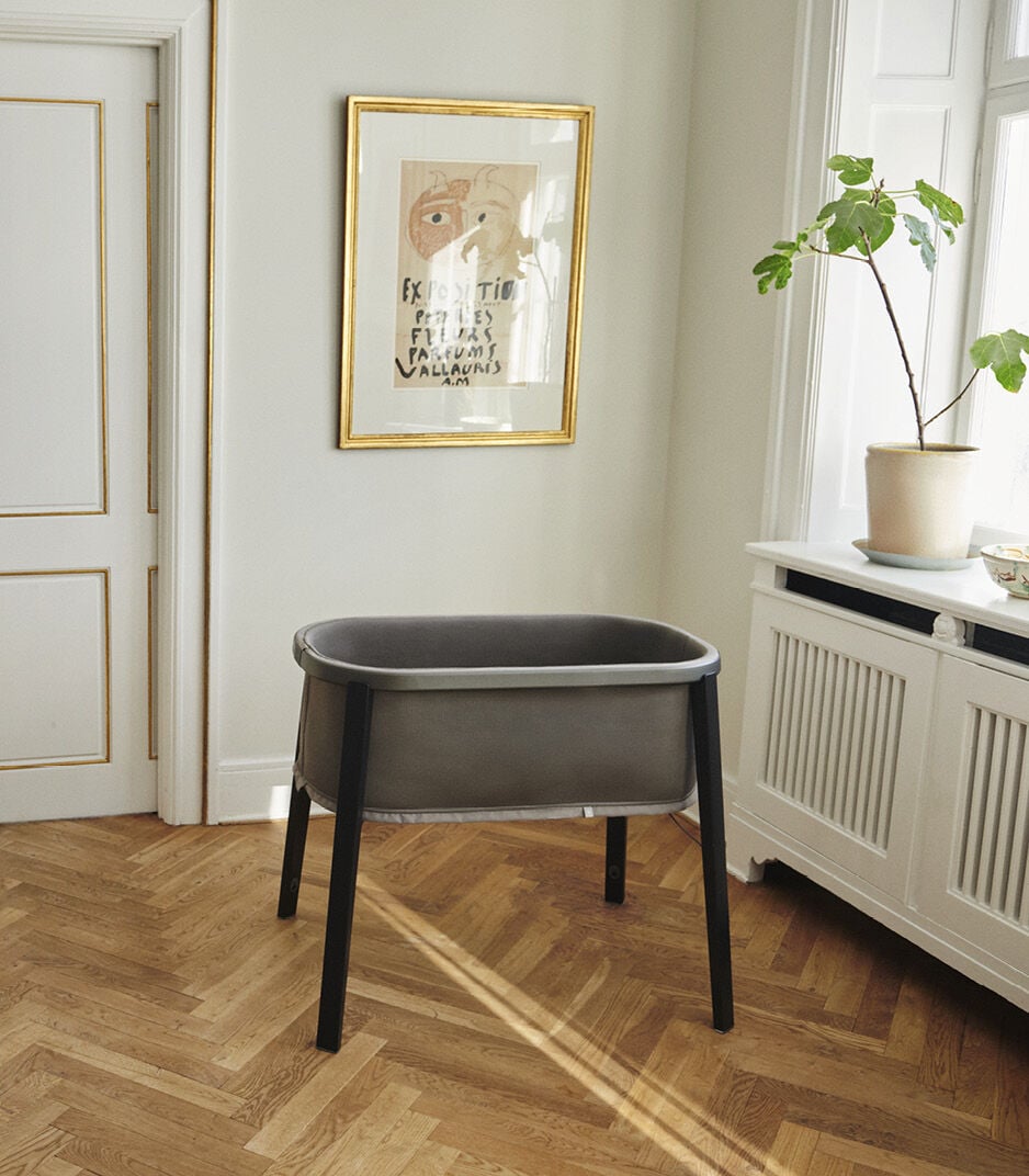 Snoozi Bassinet