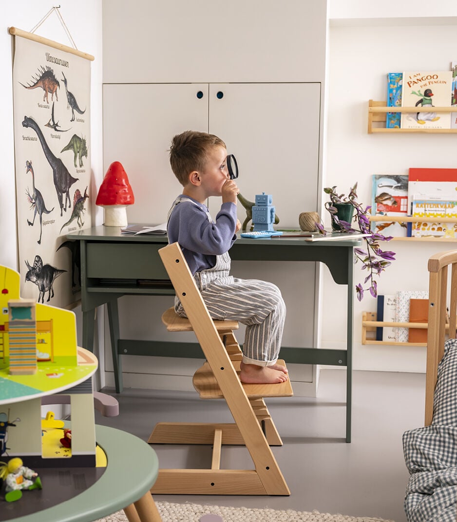 Tripp Trapp High Chair