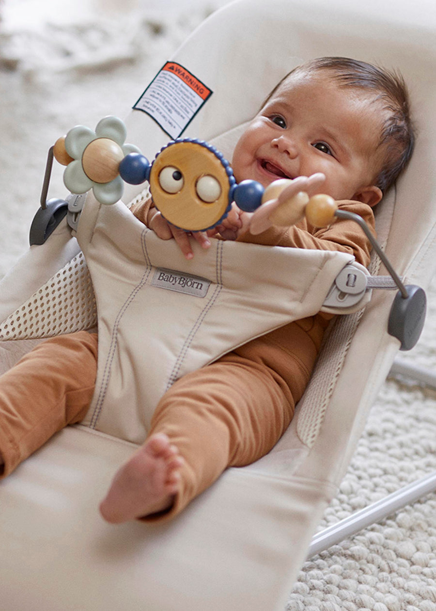Toy for Bouncer - Googly eyes